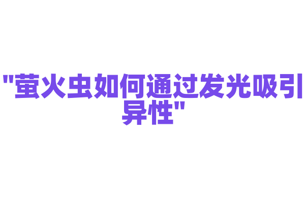 "萤火虫如何通过发光吸引异性"